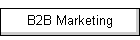B2B Marketing