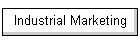 Industrial Marketing