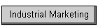 Industrial Marketing